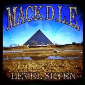 Level 7