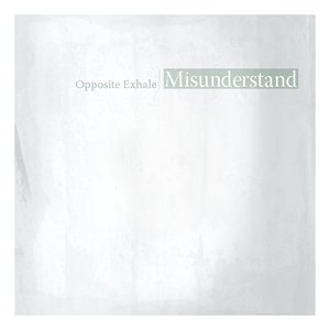 Misunderstand