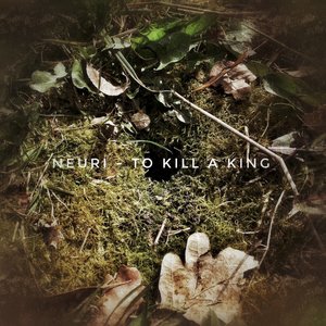 To Kill A King