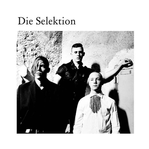 Die Selektion by Die Selektion
