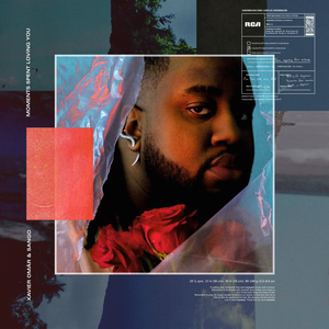 Moments Spent Loving You album cover