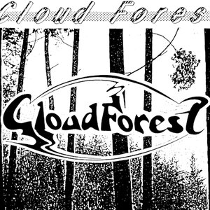 Cloud forest