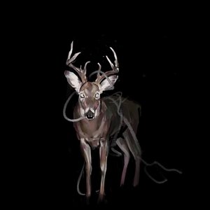 Bambi