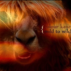 Mild To Wild