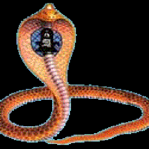 Avatar for Awakening Kundalini