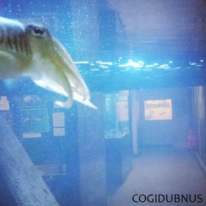 Avatar for Cogidubnus