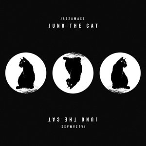 Juno The Cat