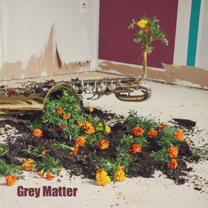 Grey Matter