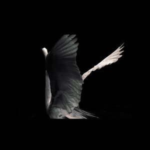 Sacred in the wreckage