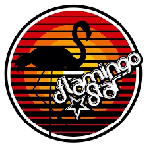 Avatar for Flamingo Star