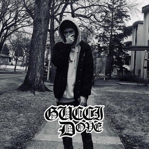 Avatar for GUCCI DOVE