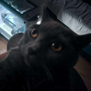Avatar for nitrustoday