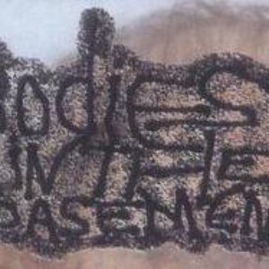 Avatar di Bodies in the Basement