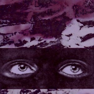 Honey Insulation [Explicit]