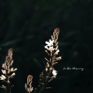 In the Morning
