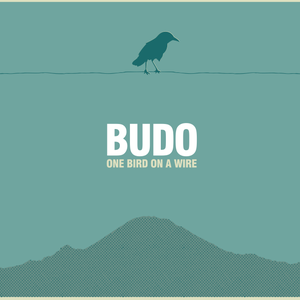 One Bird on a Wire album cover