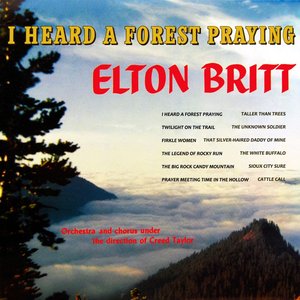 I Heard A Forest Praying