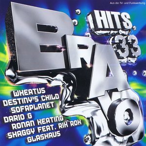 Bravo Hits 33