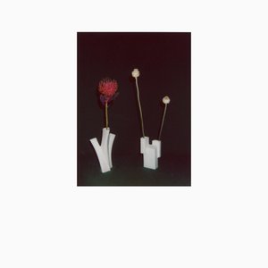 The Flower And The Vessel