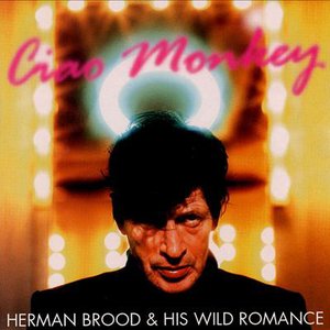 Herman Brood & His Wild Romance - When I Get Home Lyrics - Zortam Music