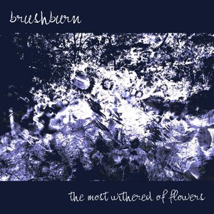 The Most Withered Of Flowers