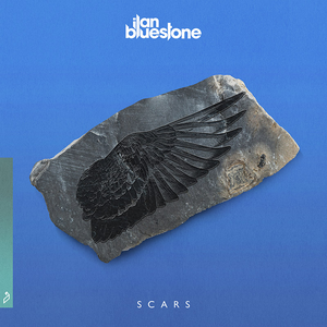 ilan Bluestone