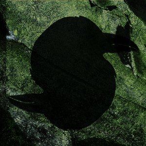 Avatar for The Corvidae Cabal