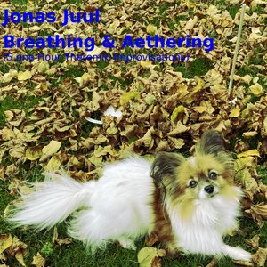 Breathing & Aethering (5 one Hour Theremin Improvisations)