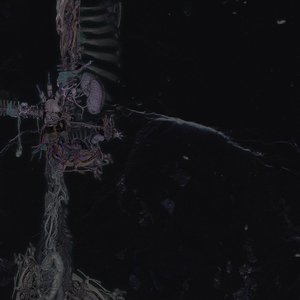 Goliath