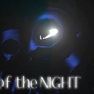 Soldiers of The Night