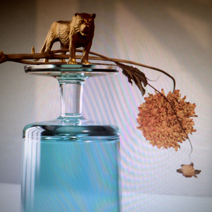 Gallipoli — Beirut