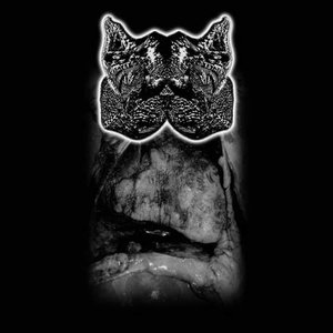 Avatar for xCxFxBx