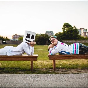 Avatar for Slushii & Marshmello