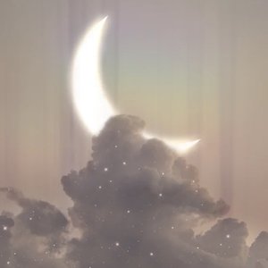 Stardust
