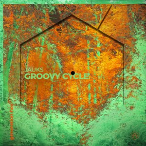 Groovy Cycle