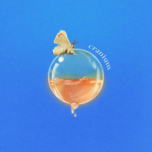 Artwork for Cranium