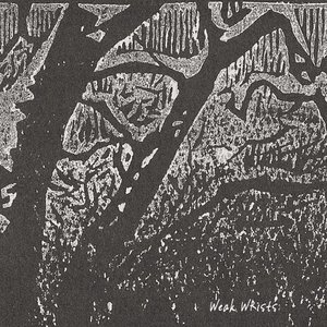 Weak Wrists Demo