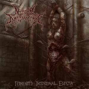 Fermented Intestinal Egesta [Explicit]