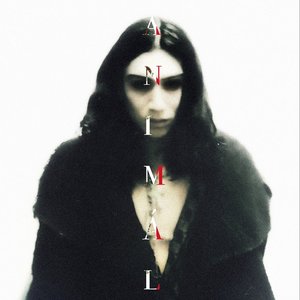 ANIMÁL [Explicit]