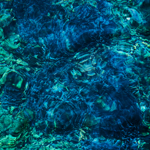 Luminescent Creatures by Ichiko Aoba