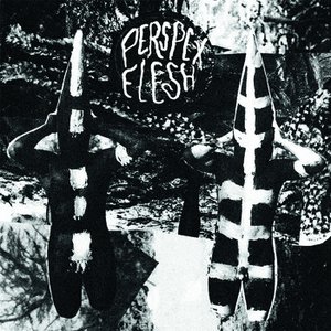 PERSPEX FLESH