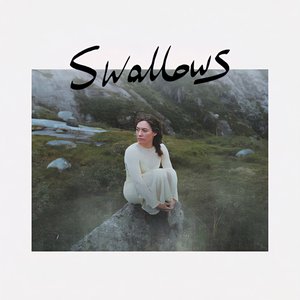 Swallows