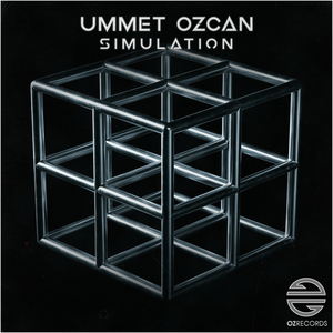 Artwork for Simulation
