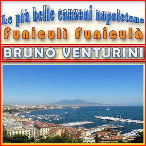Artwork for E ZUCCULILLE