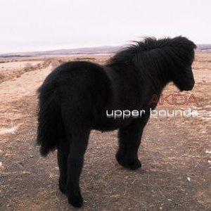 Upper Bounds