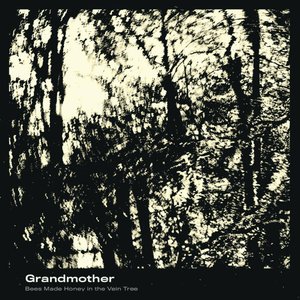 Grandmother by Bees Made Honey in the Vein Tree