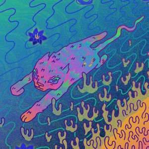 Avatar for CORAL CAT