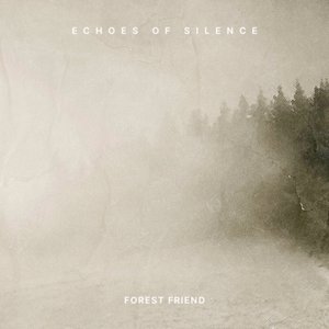 Echoes of Silence