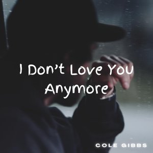I Don't Love You Anymore