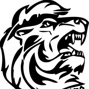Avatar for lion rider